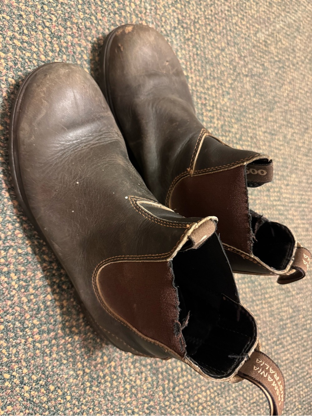Blundstone Men's Dark Brown Leather Chukka Boots